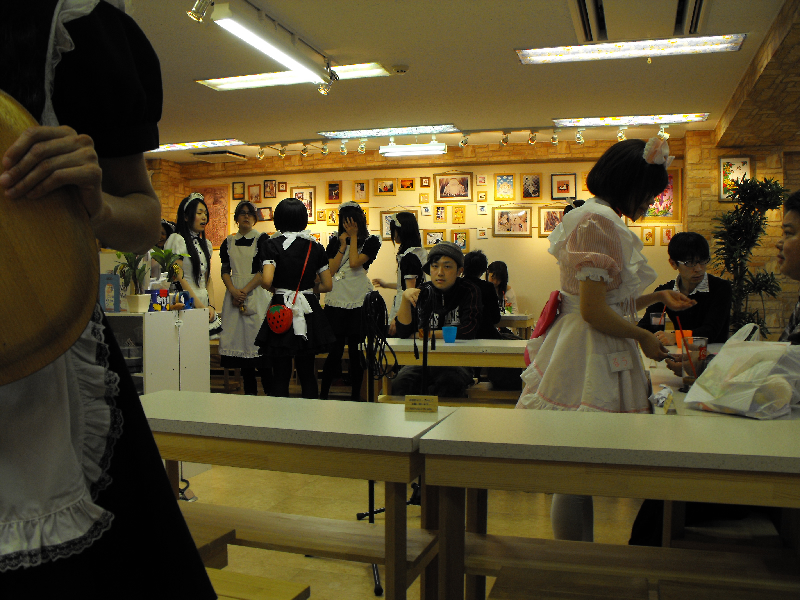 maid cafe