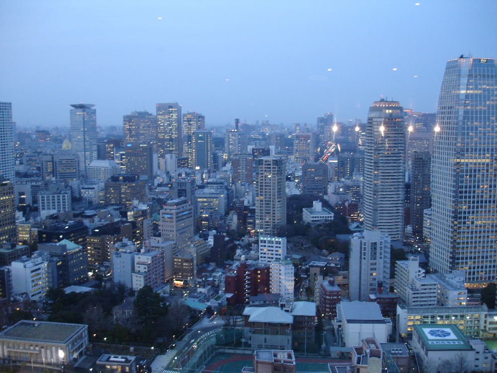 view